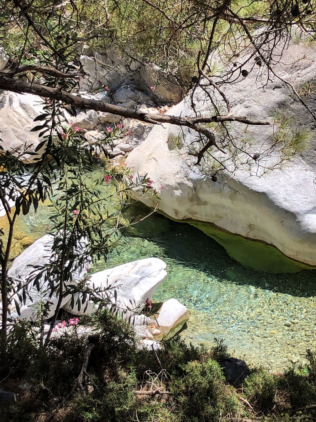 kristallklares Wasser im Bachlauf der Samaria-Schlucht auf Kreta kristallklares Wasser an der Samaria-Schlucht