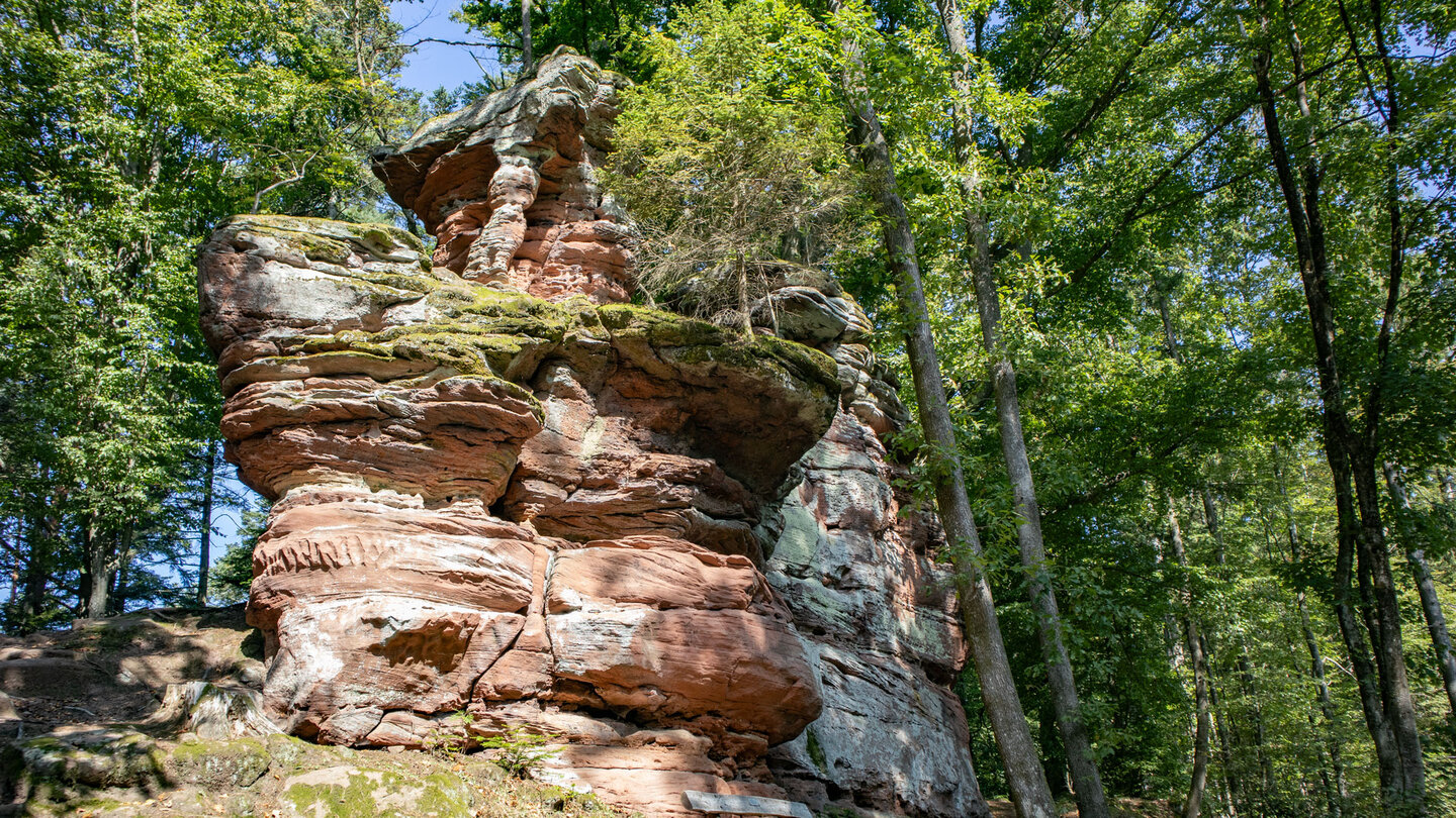 der Klingelfels liegt am Wanderweg zwischen Wasigenstein und Zigeunerfels