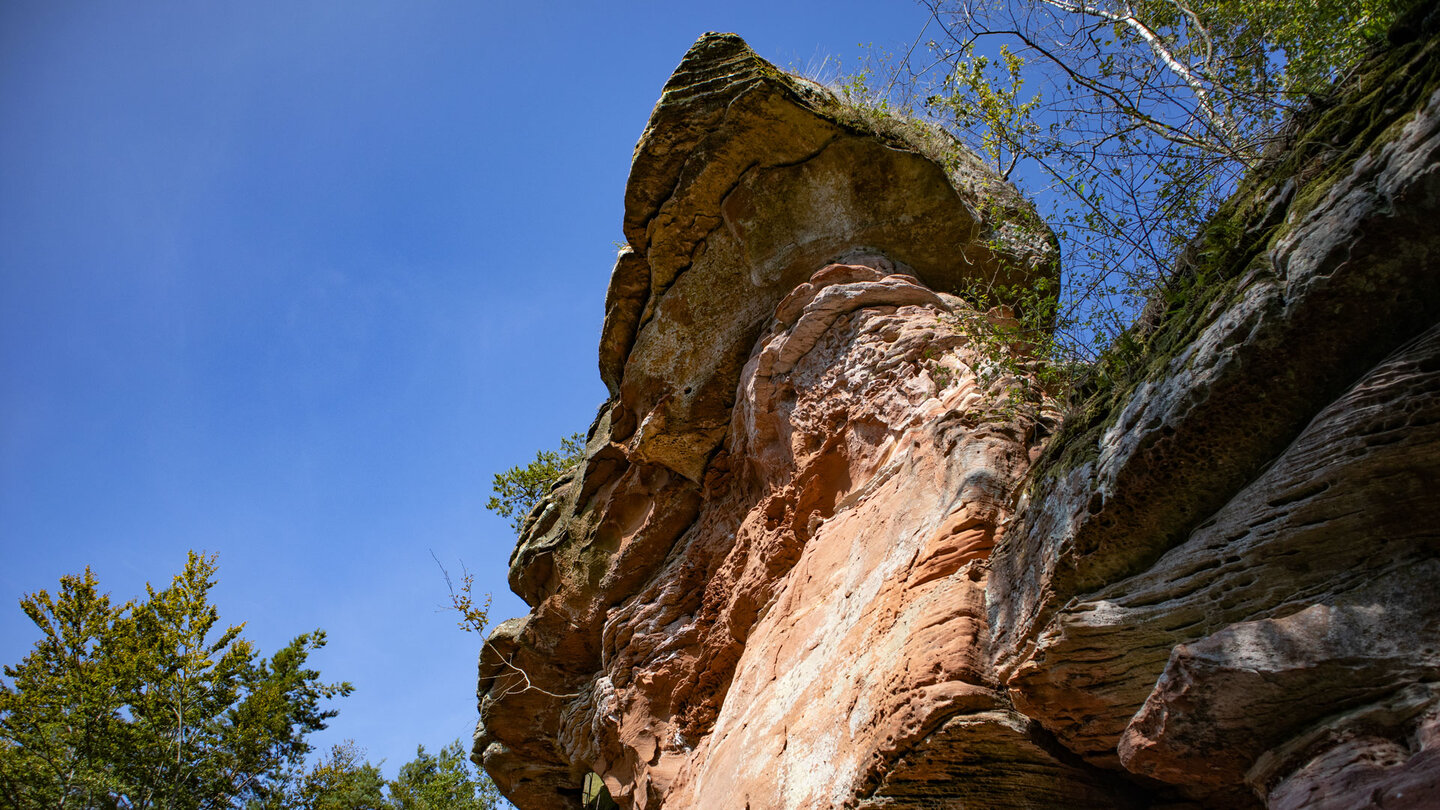 am Zigeunerfels - Rocher des Tziganes