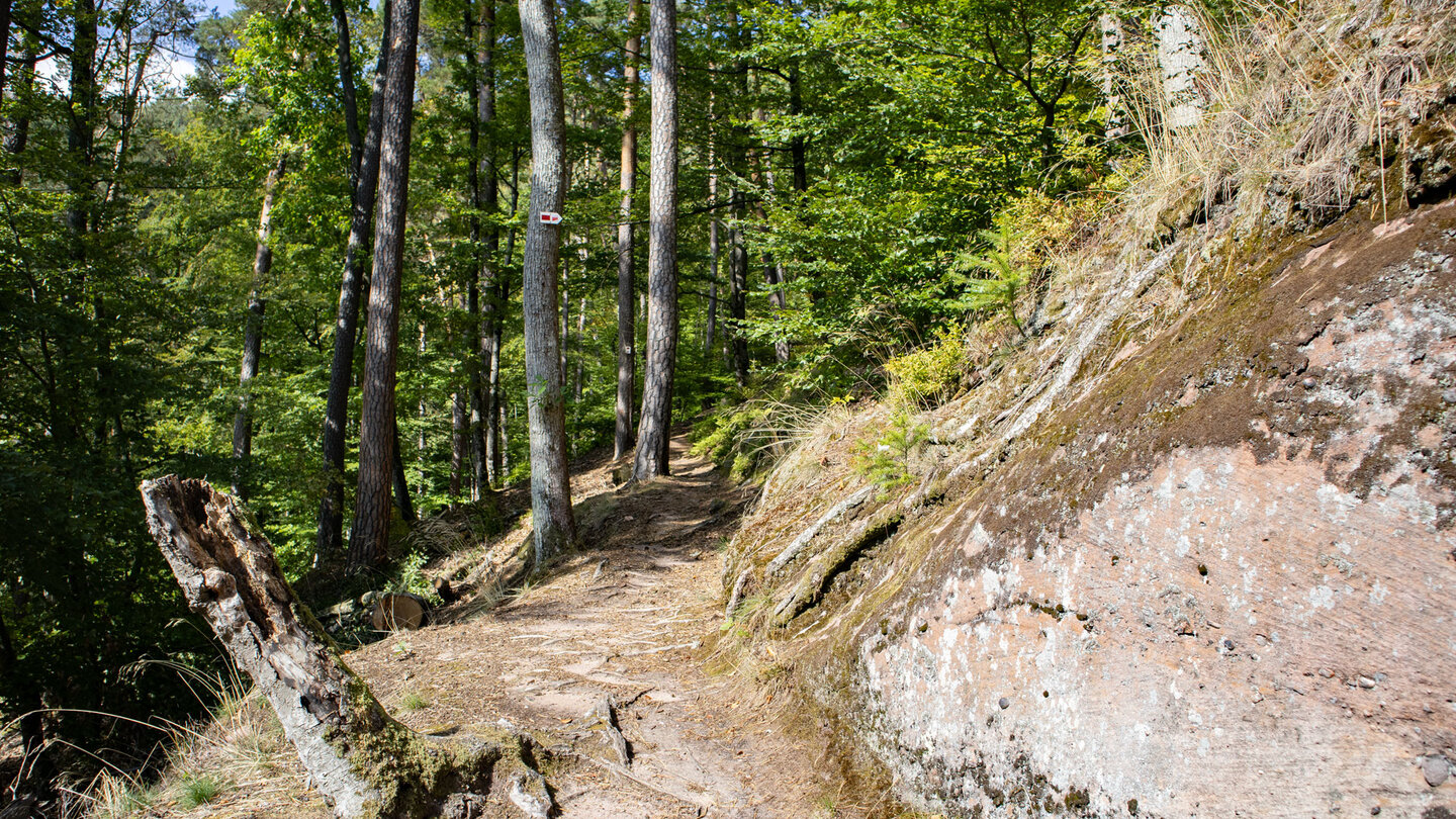 Wanderweg oberhalb der Froensburg