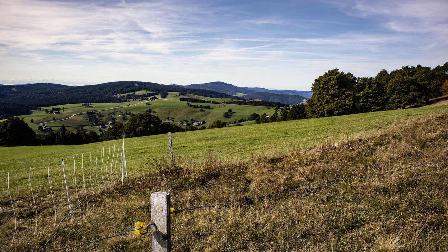 die Ortschaft Hofsgrund ist umgeben von Kuhweiden die teilweise durchquert werden