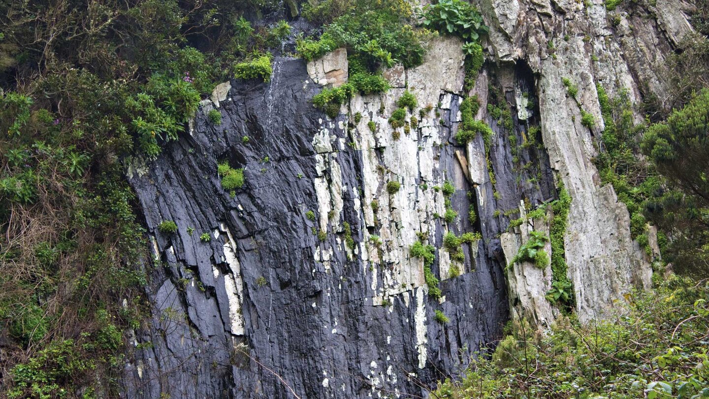eine Felswand im Barranco de Afur auf Teneriffa