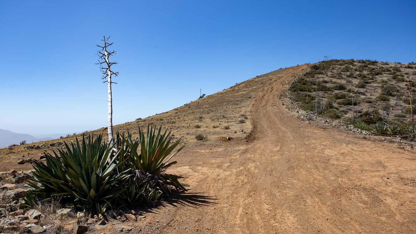 Wanderweg über den Höhenrücken