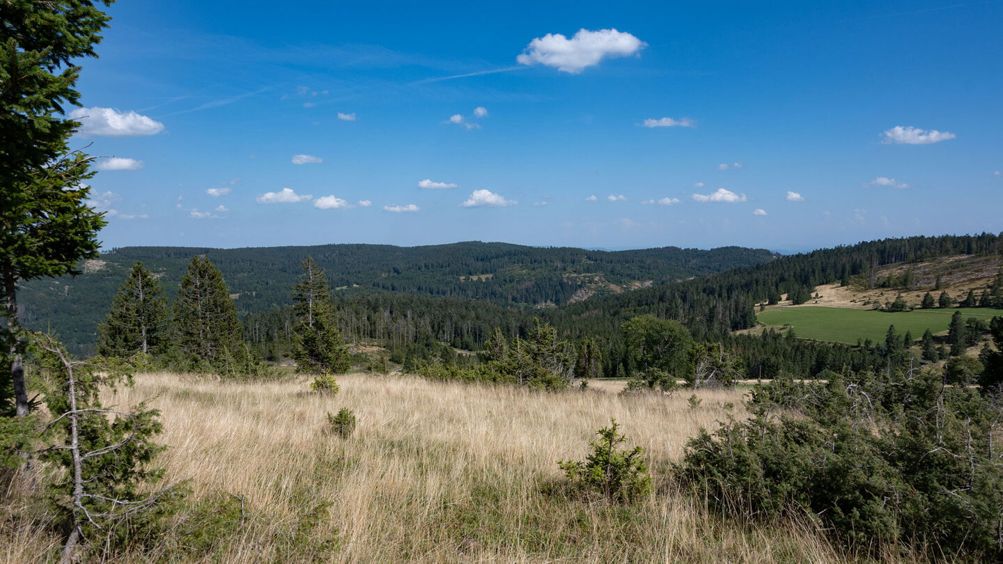 Blick vom Wanderweg über das Hochplateau Blasiwald-Althütte
