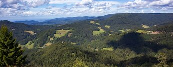 Blick von der Marienruhe bis zum Haberer Turm