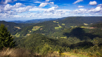 Blick von der Marienruhe bis zum Haberer Turm