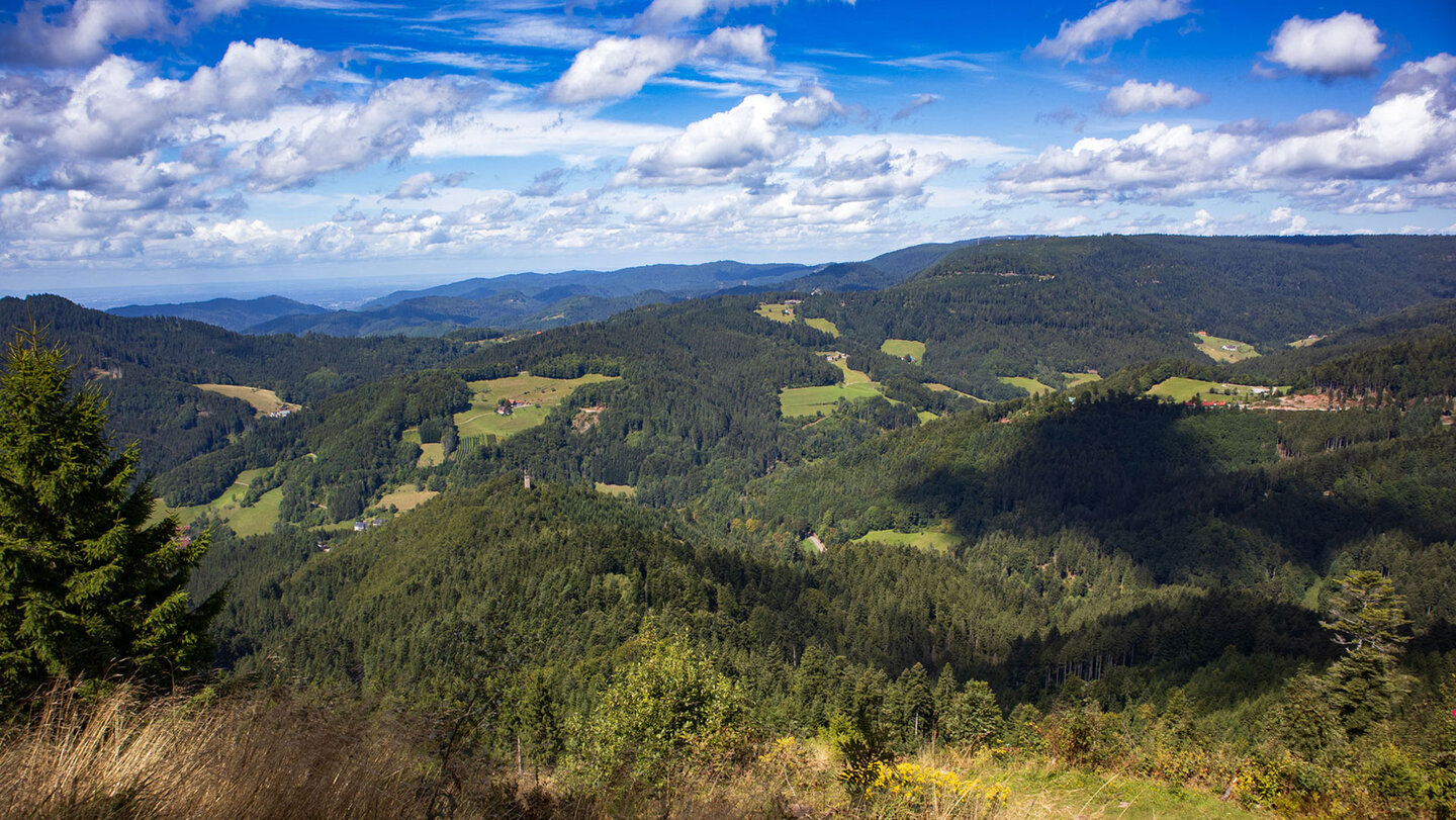 Blick von der Marienruhe bis zum Haberer Turm