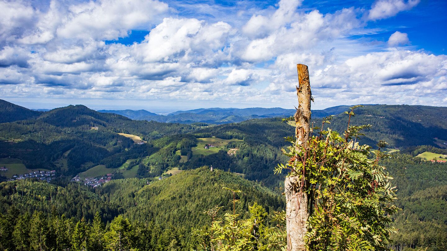 Panoramablick von der Marienruhe