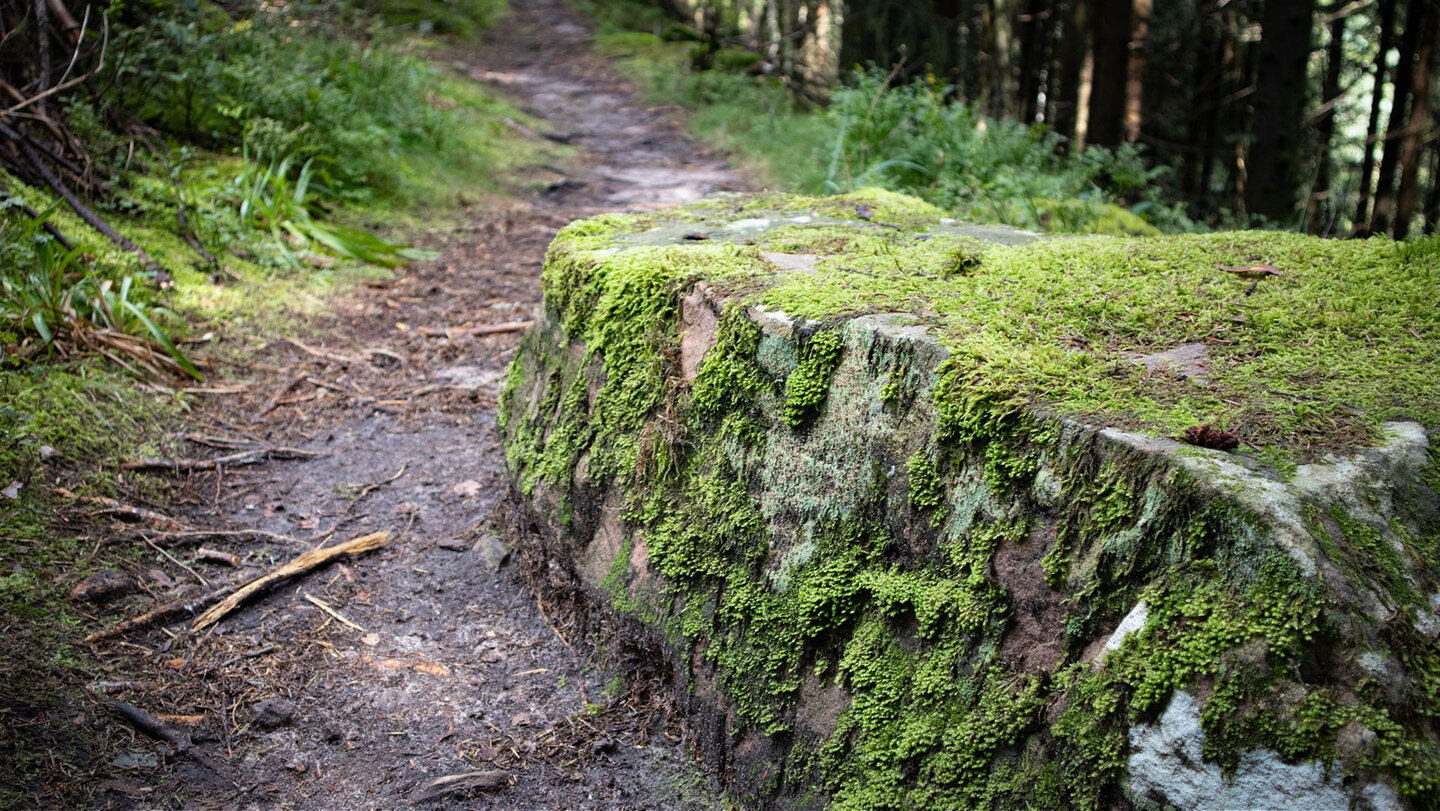 gemütlicher Wanderpfad zum Aussichtspunkt Marienruhe