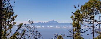 Ausblick auf Teneriffa vom Naturpark Tamadaba