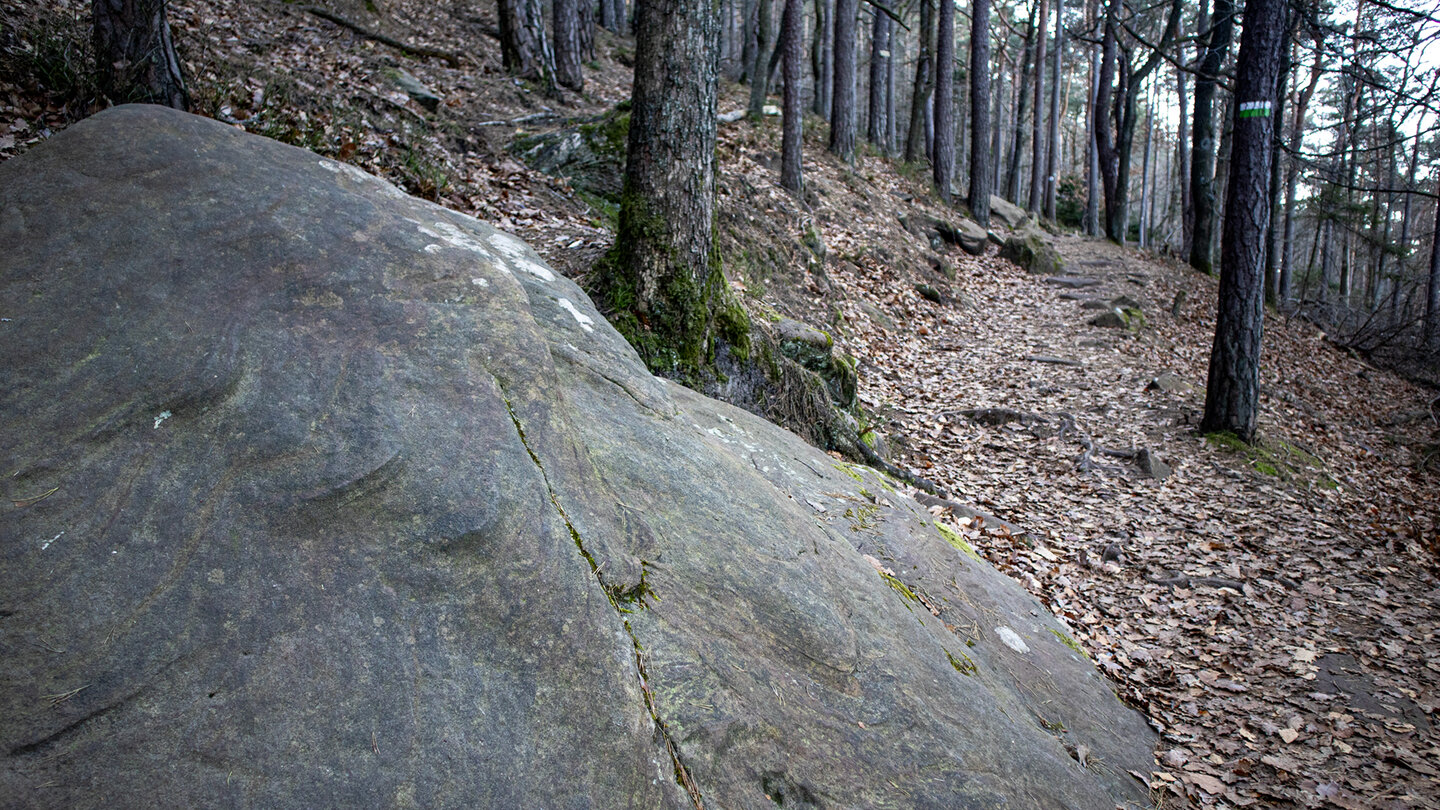 Wanderpfad beim Hüttenkohl