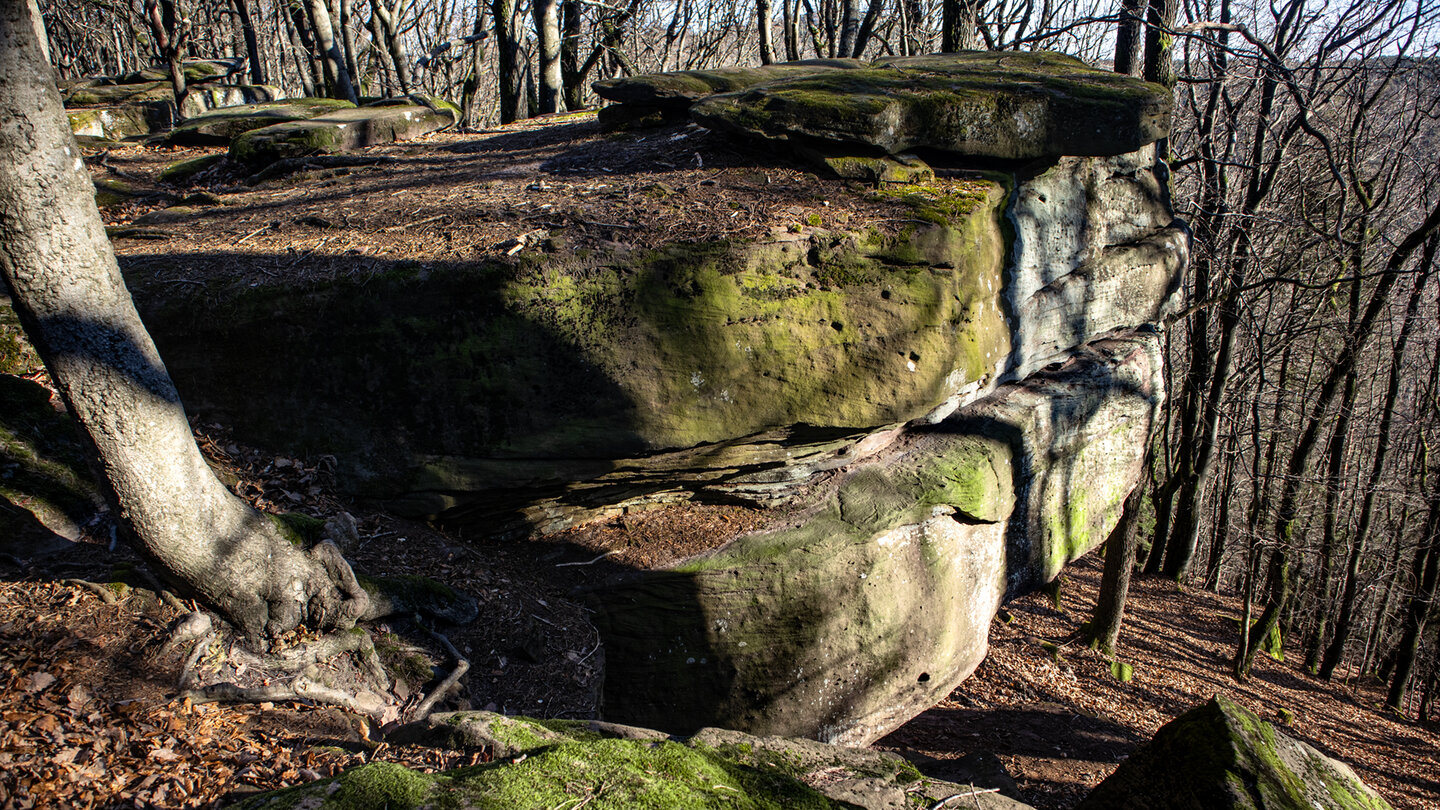Felsblöcke im Felsenmeer am Hüttenberg