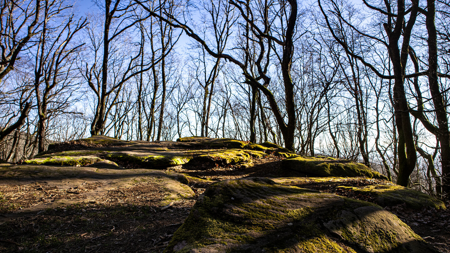 Felsplattformen am Wanderweg zur Kalmit