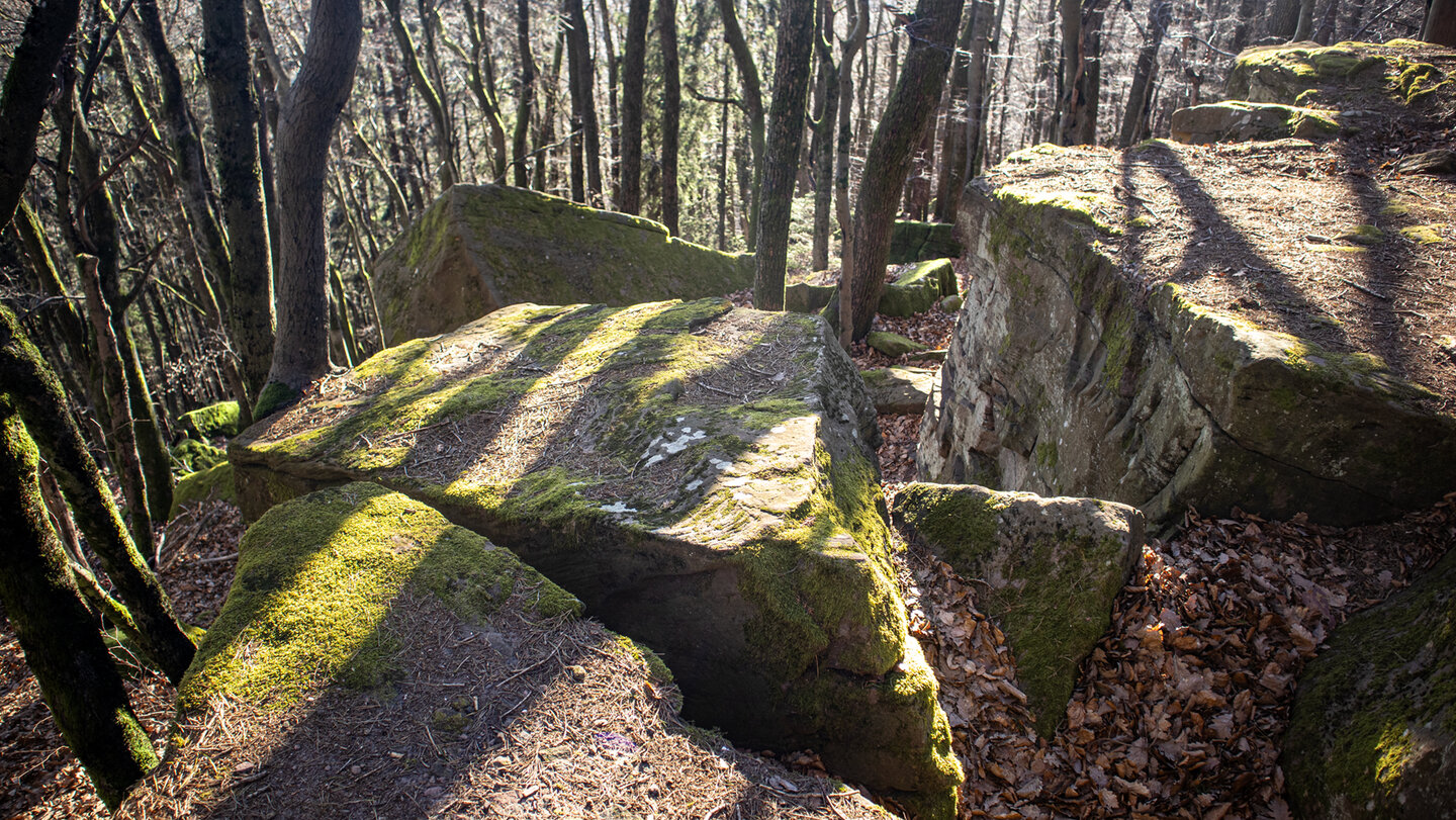 Trümmerfelder im Felsenmeer an der Kalmit