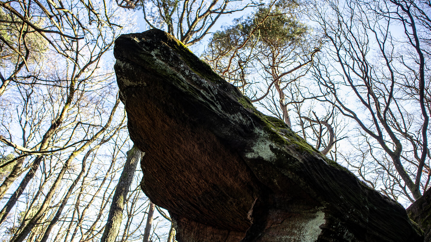 Felsspitze auf der kleinen Kalmit Runde