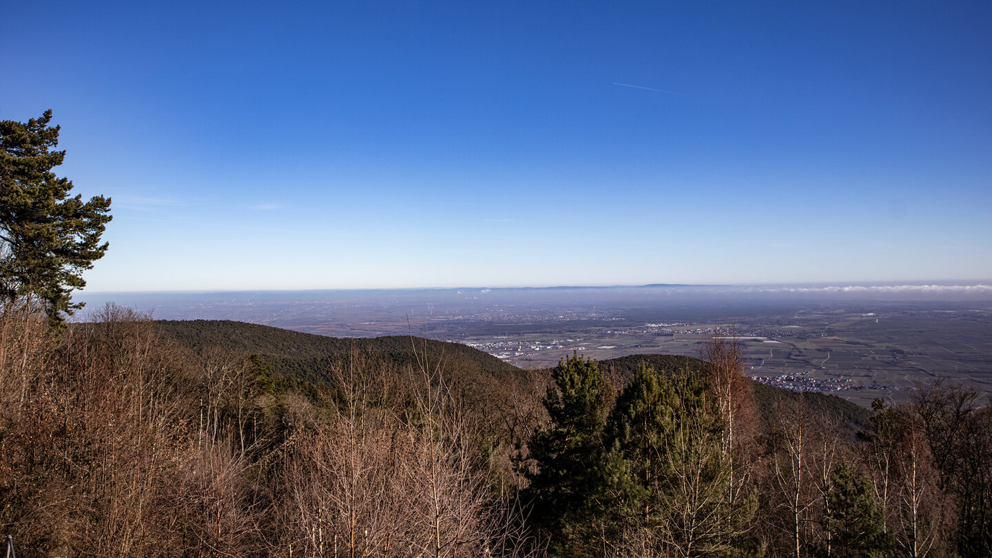 Panorama von der Kalmit in die Rheinebene