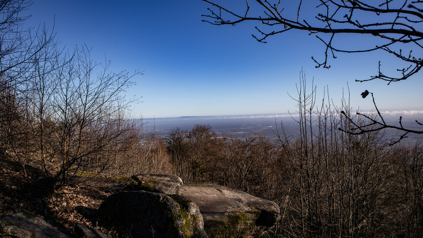 von der Kalmit öffnet sich ein Ausblick bis zum Odenwald