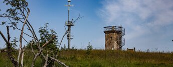 Der Bismarkturm auf der Hornisgrinde