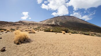 Blick über die hellen Bimssteinfelder zum Teide