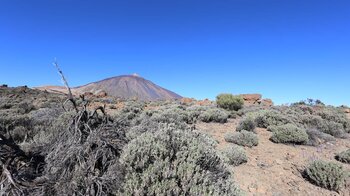 Ausblick auf den Teide nd Moñtana Blanca