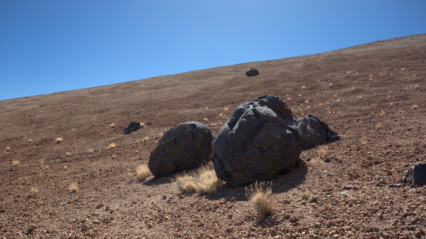 Huevos del Teide am Wegesrand