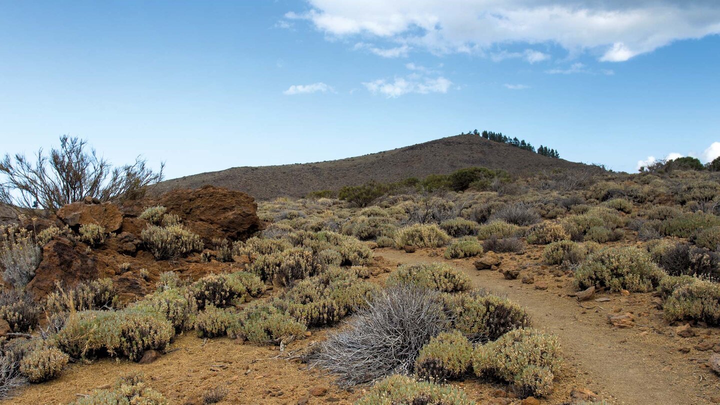 der Vulkankegel des Montaña Negra in der Landschaft der Cañadas