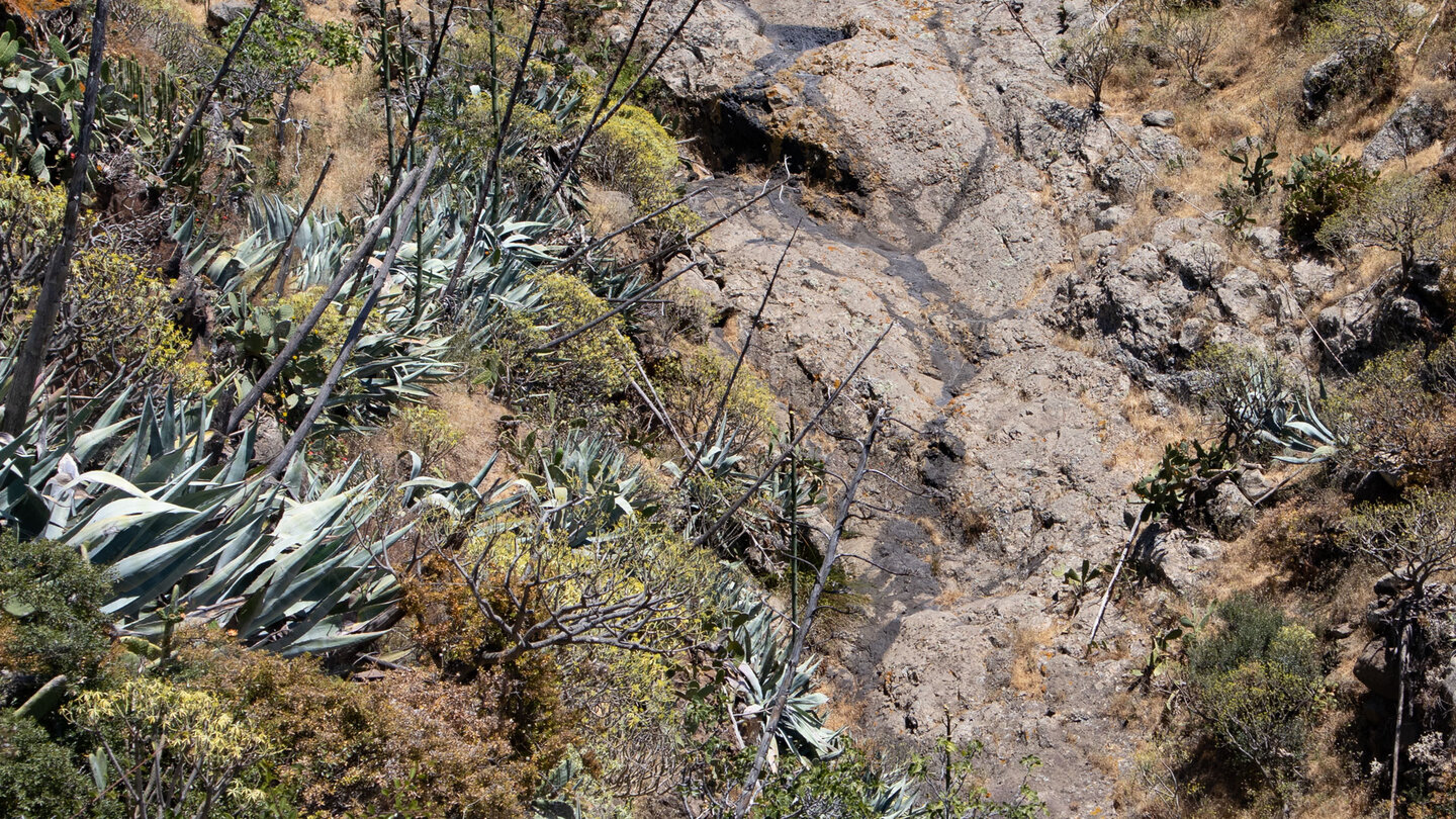 das Trockenbachbett der Schlucht Barranco de las Cuevas