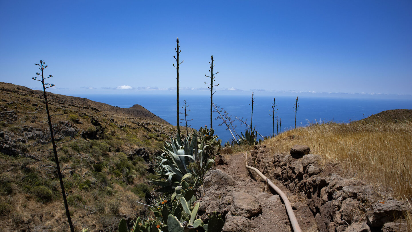 der Wanderweg PR TF 51 von Teno Alto nach Punta de Teno