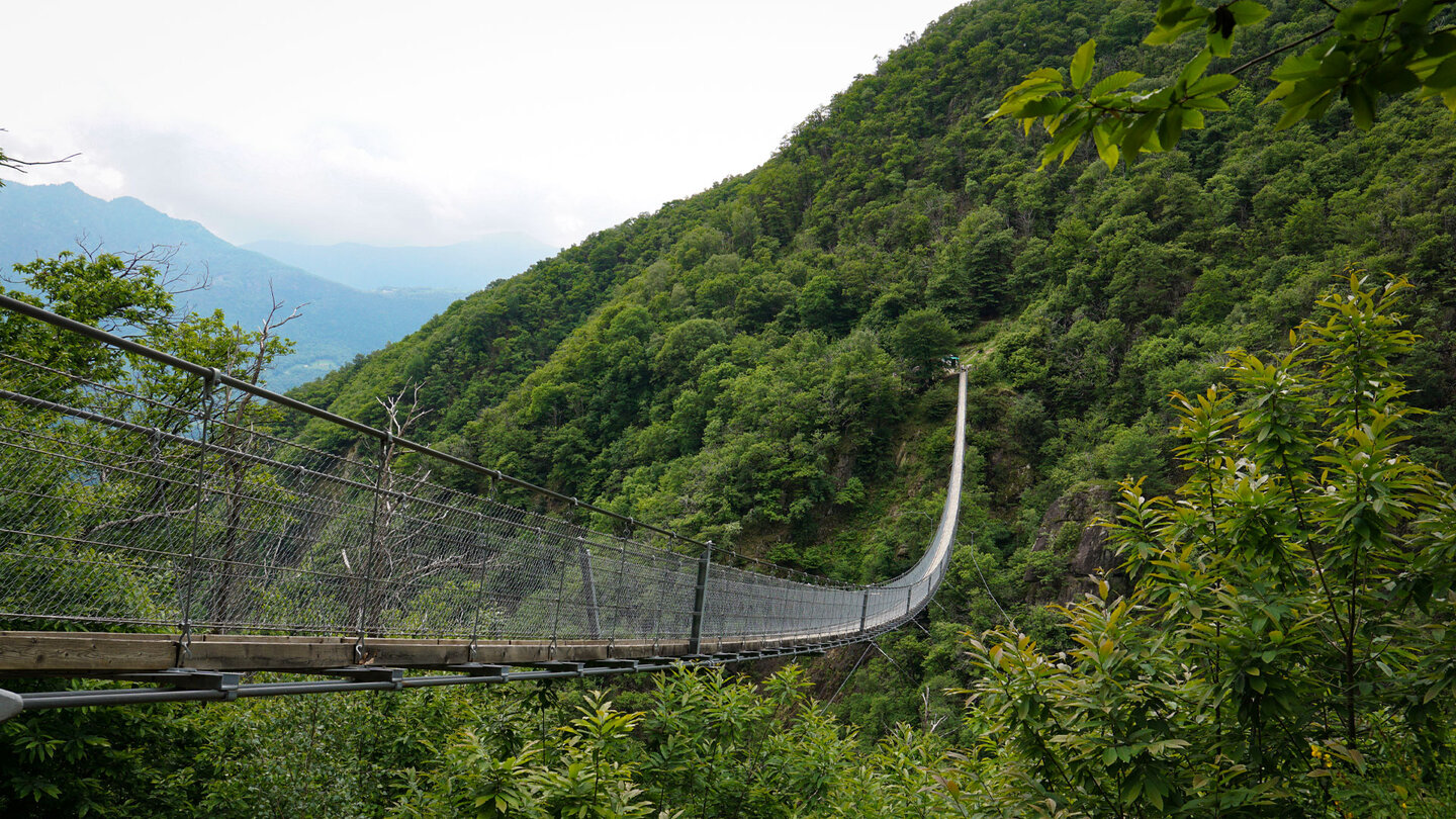 die Hängebrücke Ponte Tibetano überquert das Tal Val Sementina die Ponte Tibetano überquert das Val Sementina