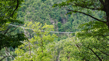 Sementina Graben mit der Ponte Tibetano Carasc
