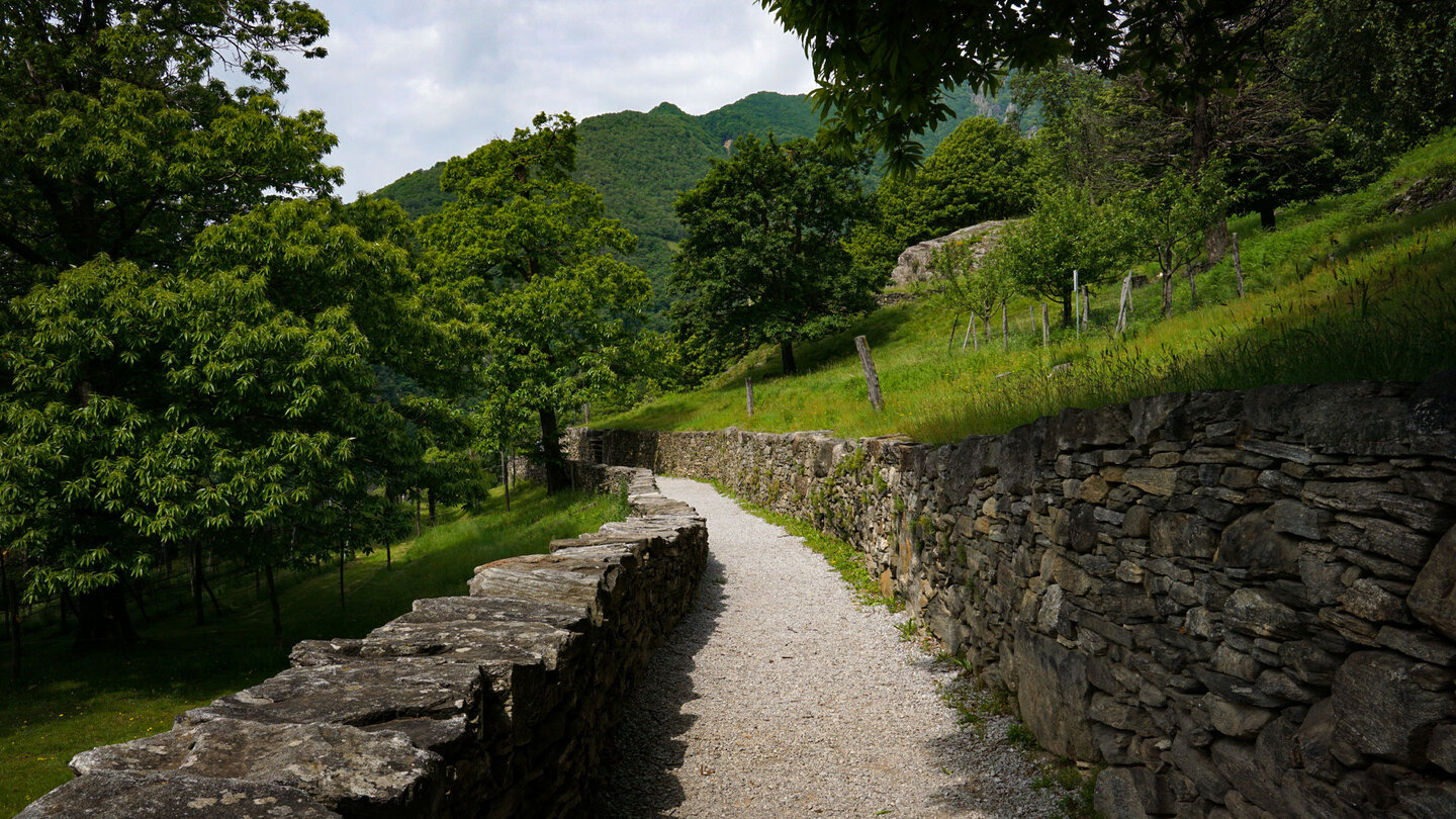 mit Felssteinmauern eingefasster Weg hinab ins Tal mit Felssteinmauern eingefasster Weg