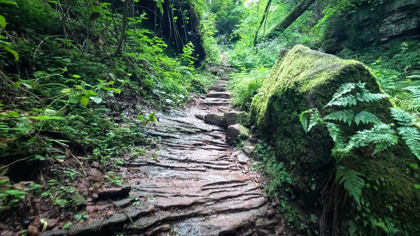 Pfad aus Buntsandstein durch die Wolfsschlucht im Naturpark Neckartal-Odenwald bei Zwingenberg Pfad aus Buntsandstein durch die Wolfsschlucht im Naturpark Neckartal-Odenwald