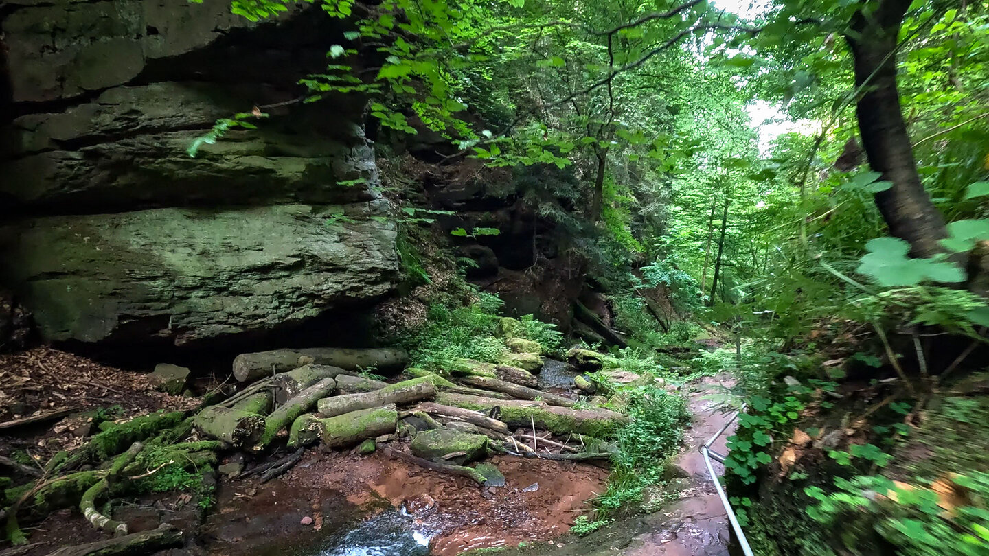 gesicherter Pfad entlang der Buntsandsteinfelsen durch die Wolfsschlucht bei Zwingenberg gesicherter Pfad entlang der Buntsandsteinfelsen durch die Wolfsschlucht bei Zwingenberg