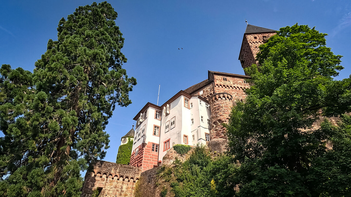 Ausblick am Wanderweg Wolfsschlucht beim Schloss Zwingenberg Ausblick am Wanderweg Wolfsschlucht beim Schloss Zwingenberg
