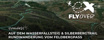 Wasserfallsteig und Silberbergtrail: Rundwanderung vom Feldbergpass - Schwarzwald – Flyover