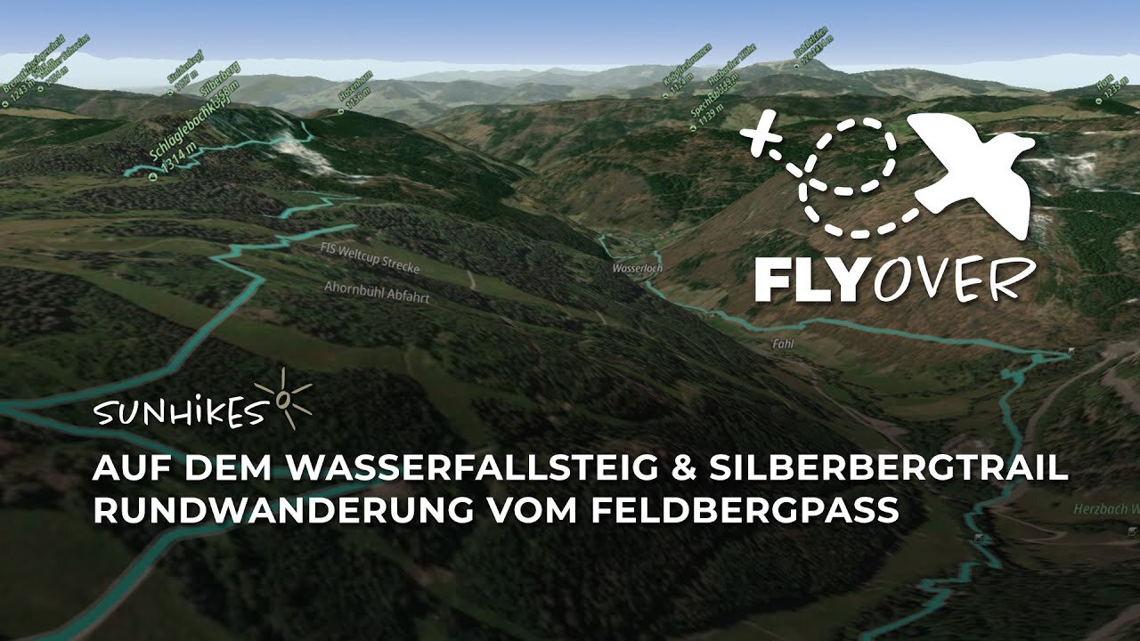 Wasserfallsteig und Silberbergtrail: Rundwanderung vom Feldbergpass - Schwarzwald – Flyover