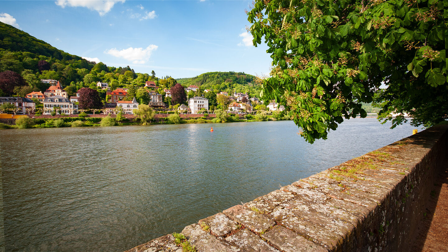 Leinpfad am Nordufer des Neckars in Heidelberg Leinpfad am Nordufer des Neckars in Heidelberg