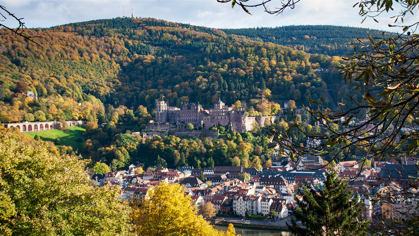 Ausblick aufs Heidelberger Schloss vom Philosophenweg das Heidelberger Schloss vom Philosophenweg