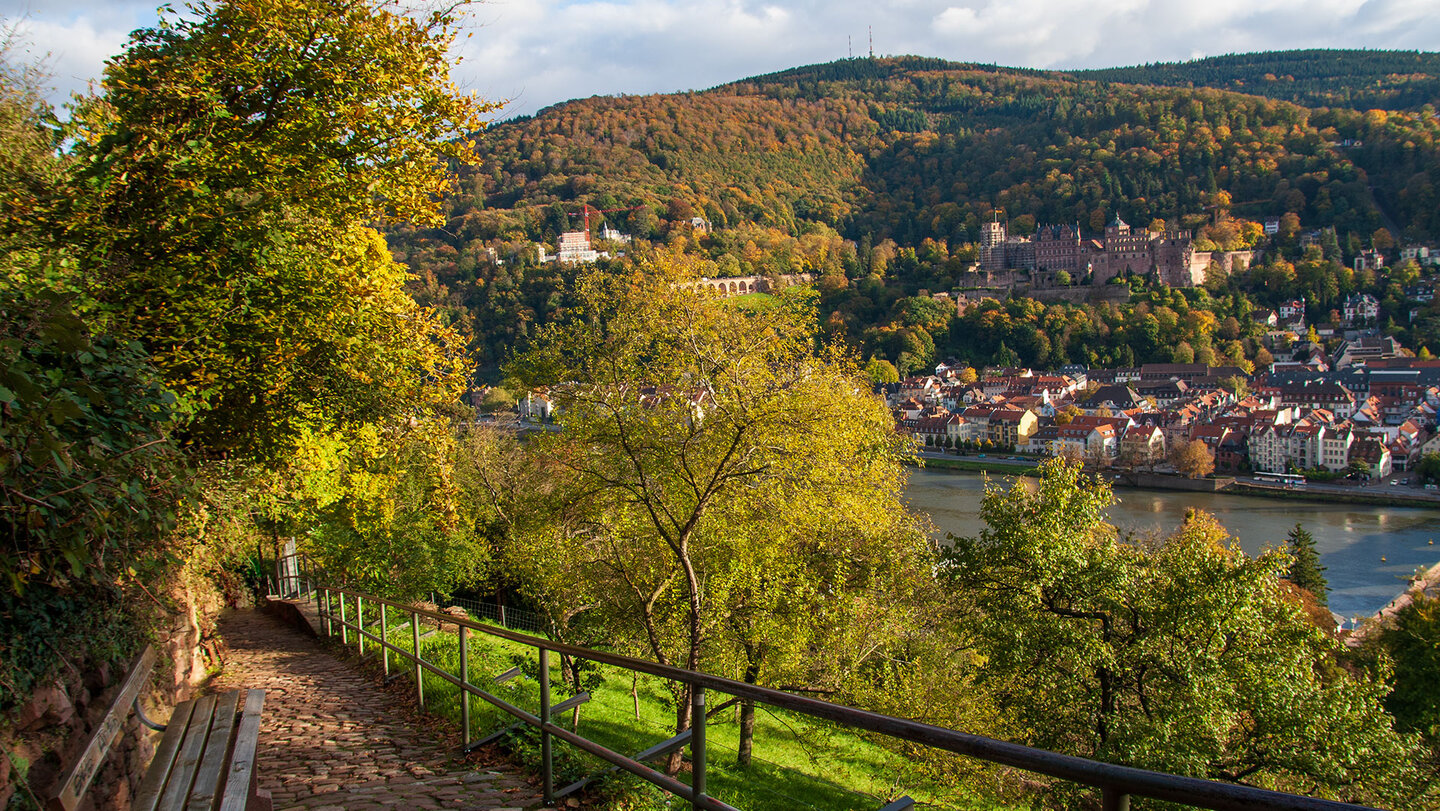 Heidelberg-Panorama am Beginn des Schlangenwegs Heidelberg-Panorama am Schlangenweg