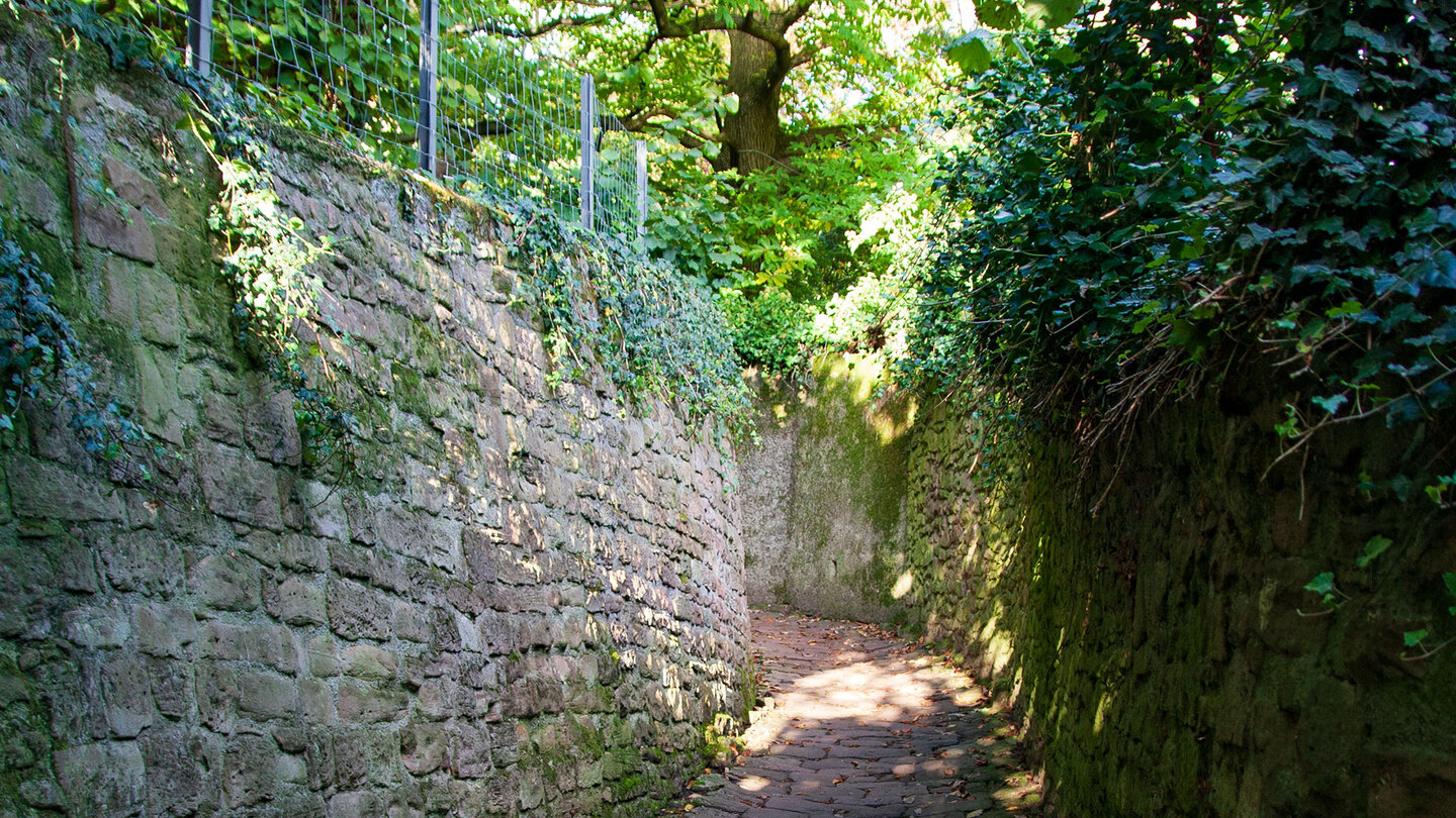 der Schlangenweg am Philosophenweg in Heidelberg Schlangenweg am Philosophenweg in Heidelberg