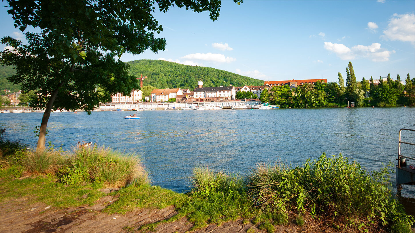 Leinpfad am Neckar in Heidelberg Leinpfad am Neckar in Heidelberg