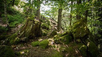 Wanderpfad zum Spitzfelsen