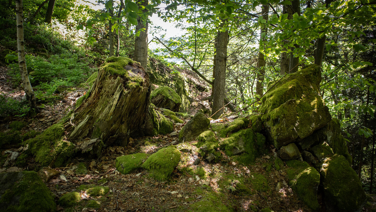 Wanderpfad zum Spitzfelsen