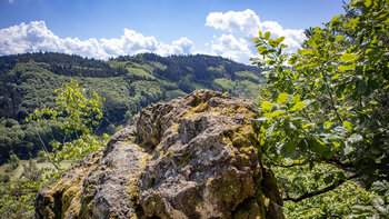 Schwarzwaldpanorama vom Spitzfelsen