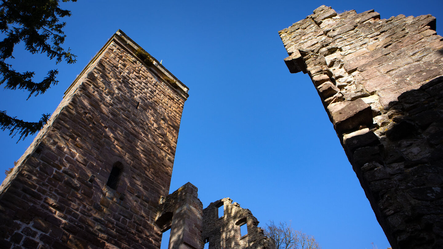 Blick auf den Bergfried und die Mauerreste der Burgruine Zavelstein