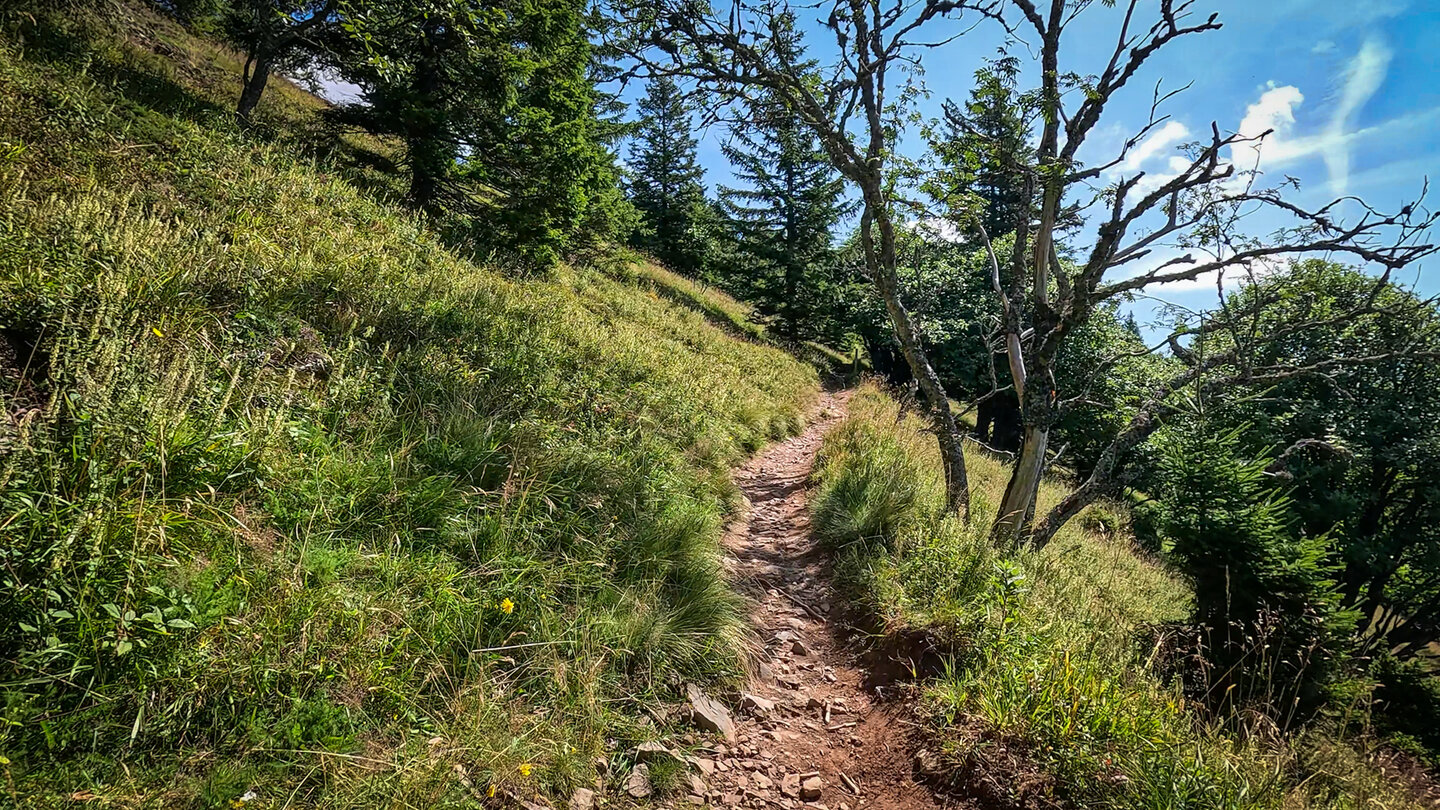 Wanderpfad beim Rapsfelsen beim Aufstieg auf den Belchen