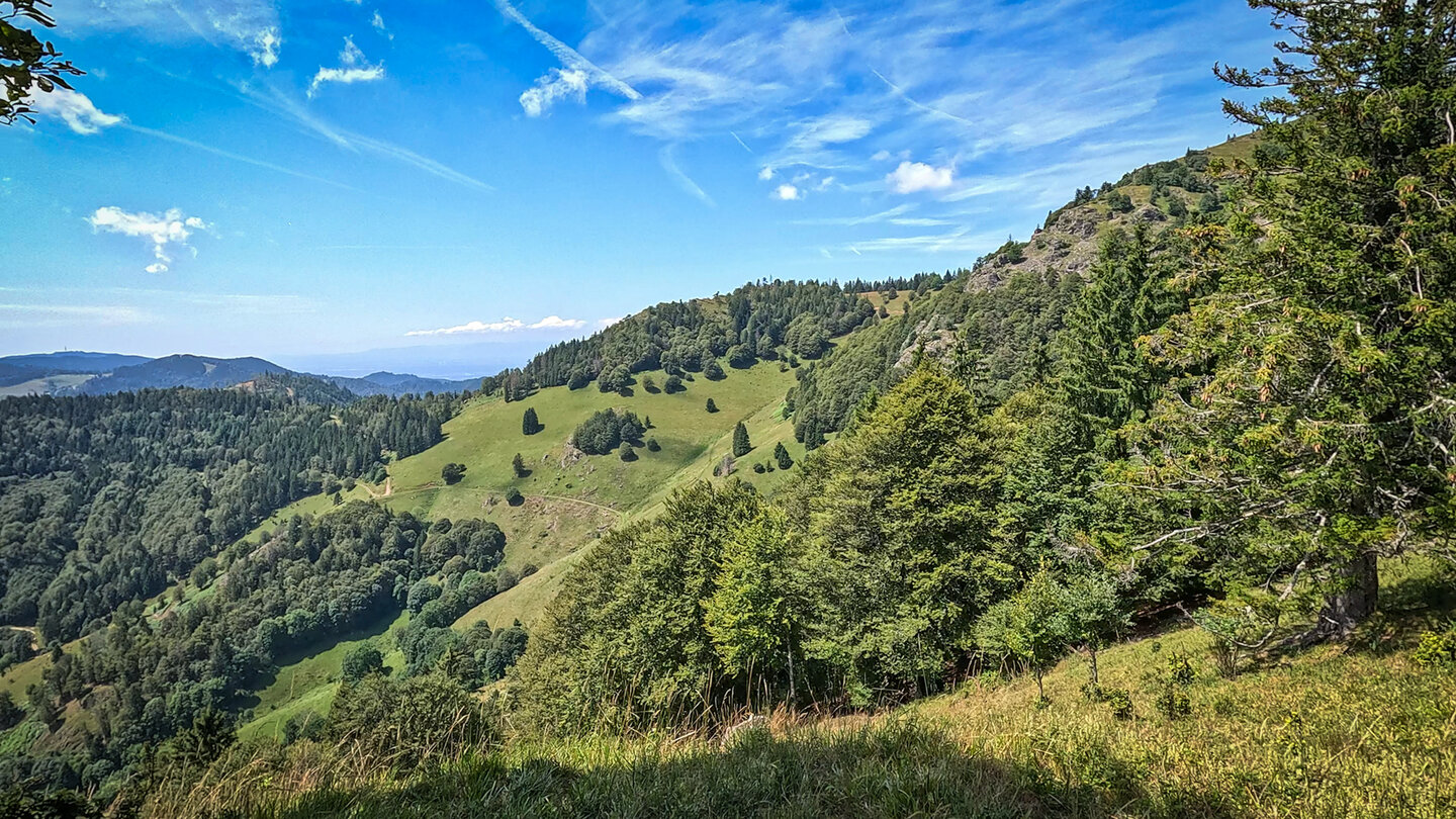 Wanderroute führt entlang der Bergflanke des Belchen im Schwarzwald