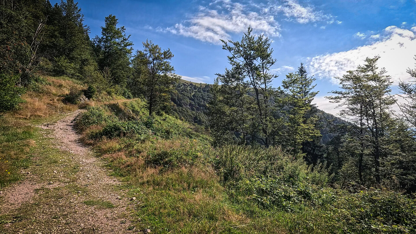 Wanderweg entlang der Bergflanke des Belchen im Südschwarzwald