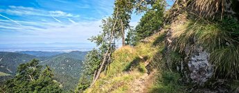 schmaler Felsenpfad auf den Belchen im Schwarzwald