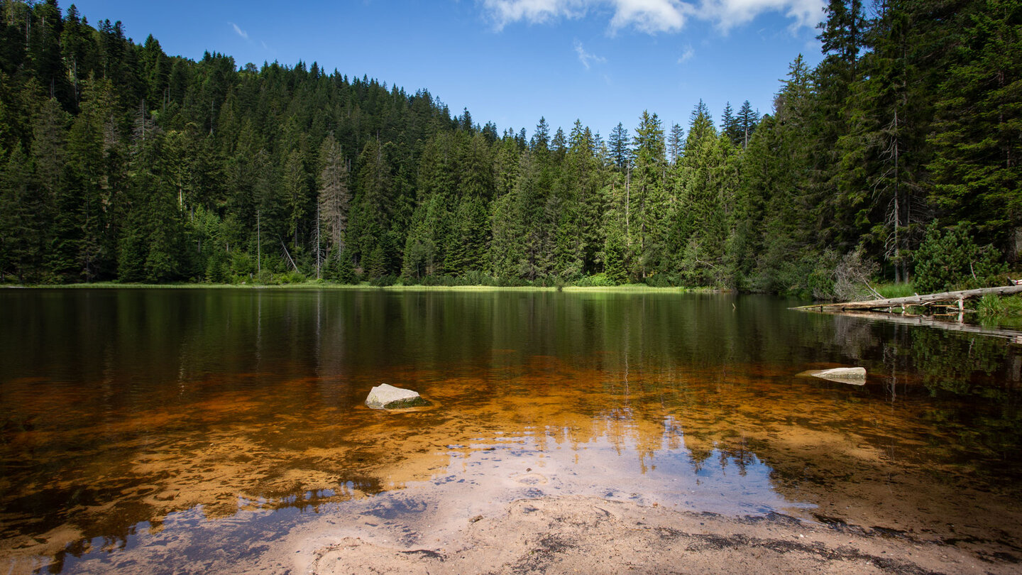 Blick über den dunklen Wildsee